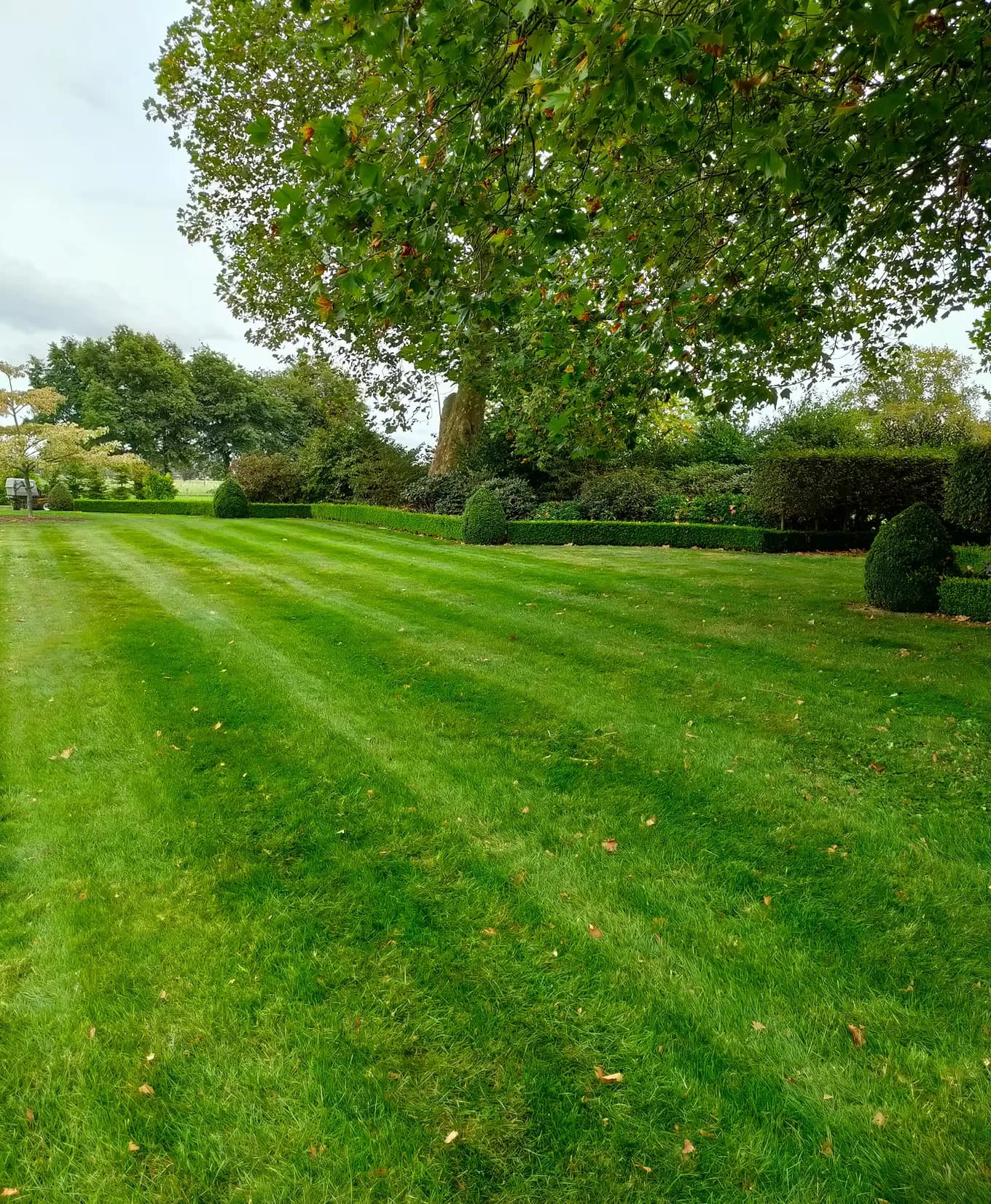 Sharp Property Care — Gardening Services in Matamata