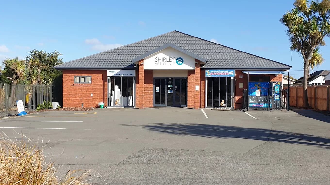 Shirley Veterinary Centre — Vets in Christchurch
