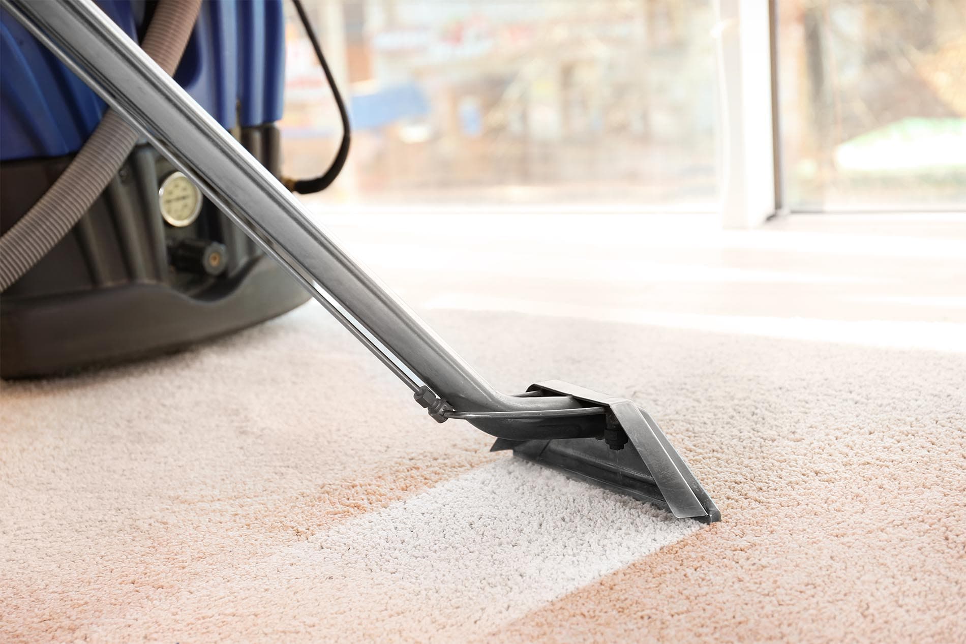 Dunedin Carpet Cleaning — Cleaning Services in Dunedin