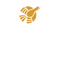 Sands of Kawhia