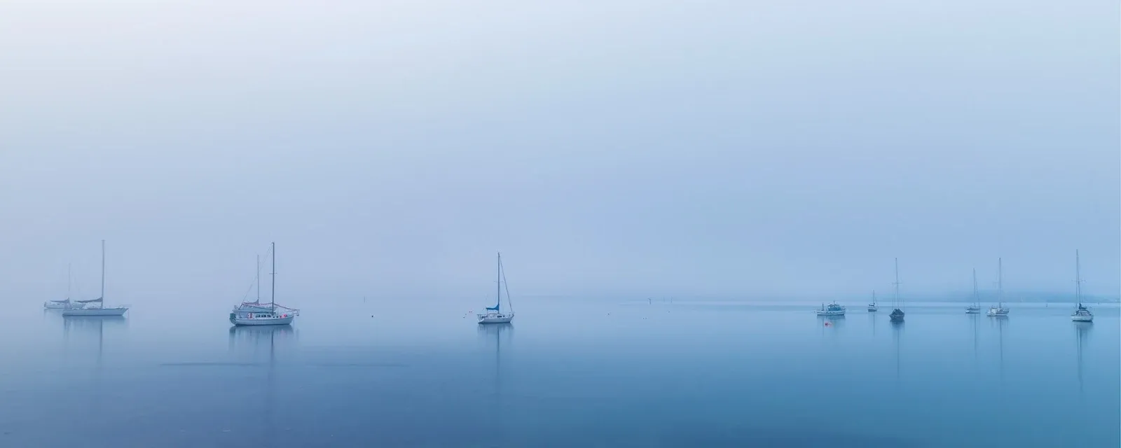 B's Photography — Photographers in Dunedin