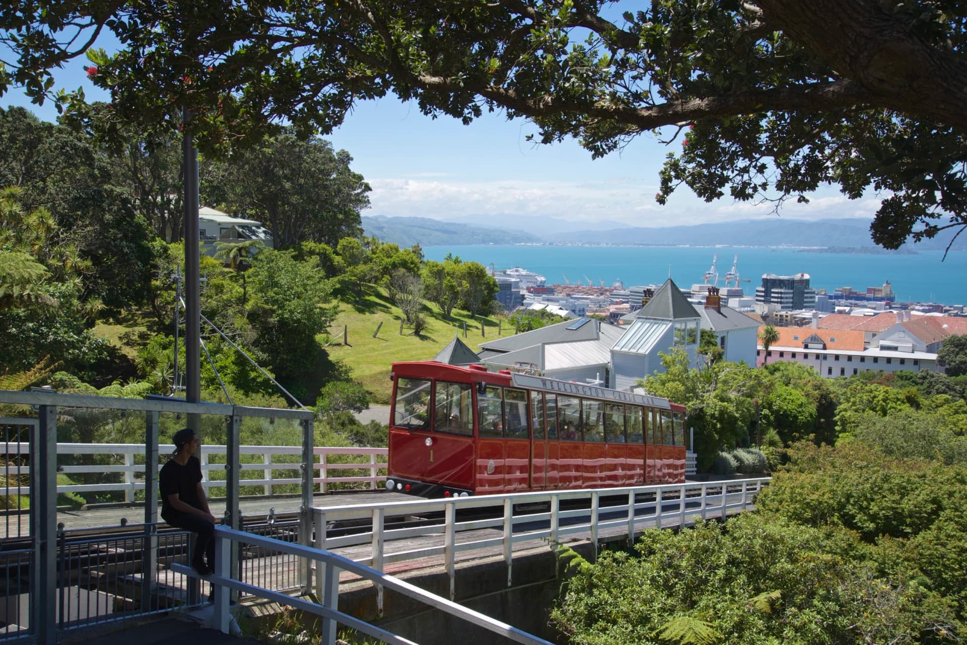 Cable Top Eatery — Café in Wellington