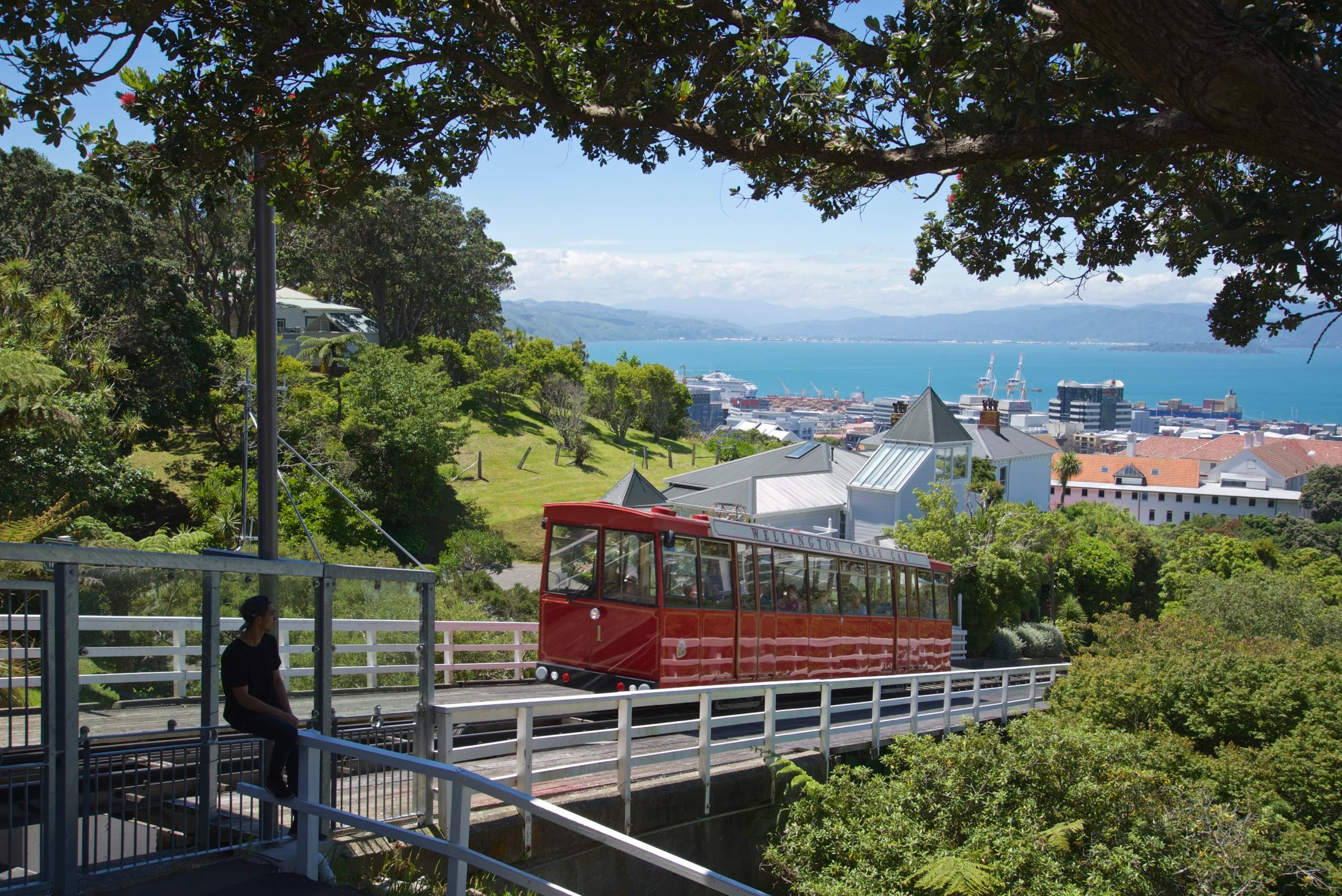 Cable Top Eatery — Café in Wellington