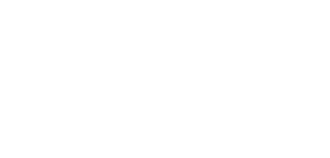 Meeanee Speedway — Moving Companies in Napier