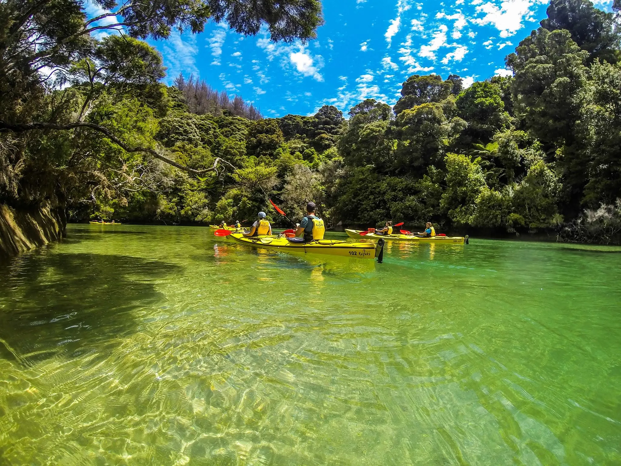 Abel Tasman Kayaks — Travel & Tourism in Marahau