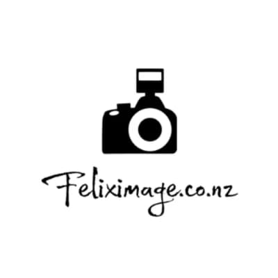 FelixImage logo