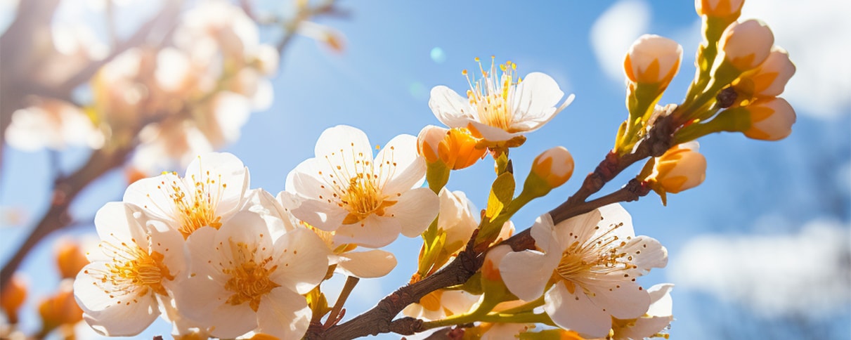 Pūmau Business Virtual Assistant Team — Professional Services in Dargaville