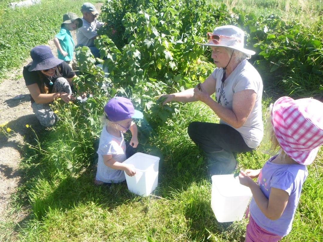 Kanuka Corner — Childcare Centres in Lake Hāwea