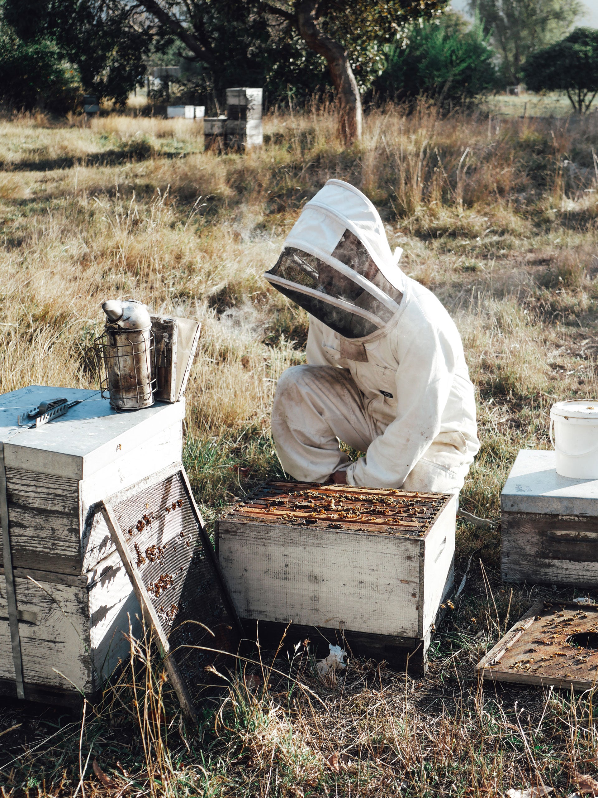 BeeBox — Café in Timaru