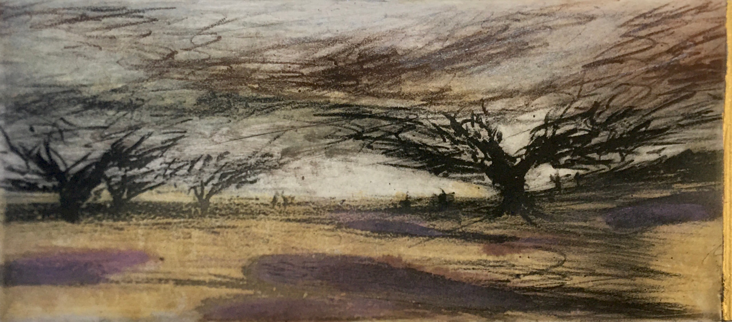 Inge Doesburg — Artists in Dunedin