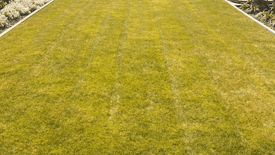 Taupo Lawn Mowing — Gardening Services in Taupō