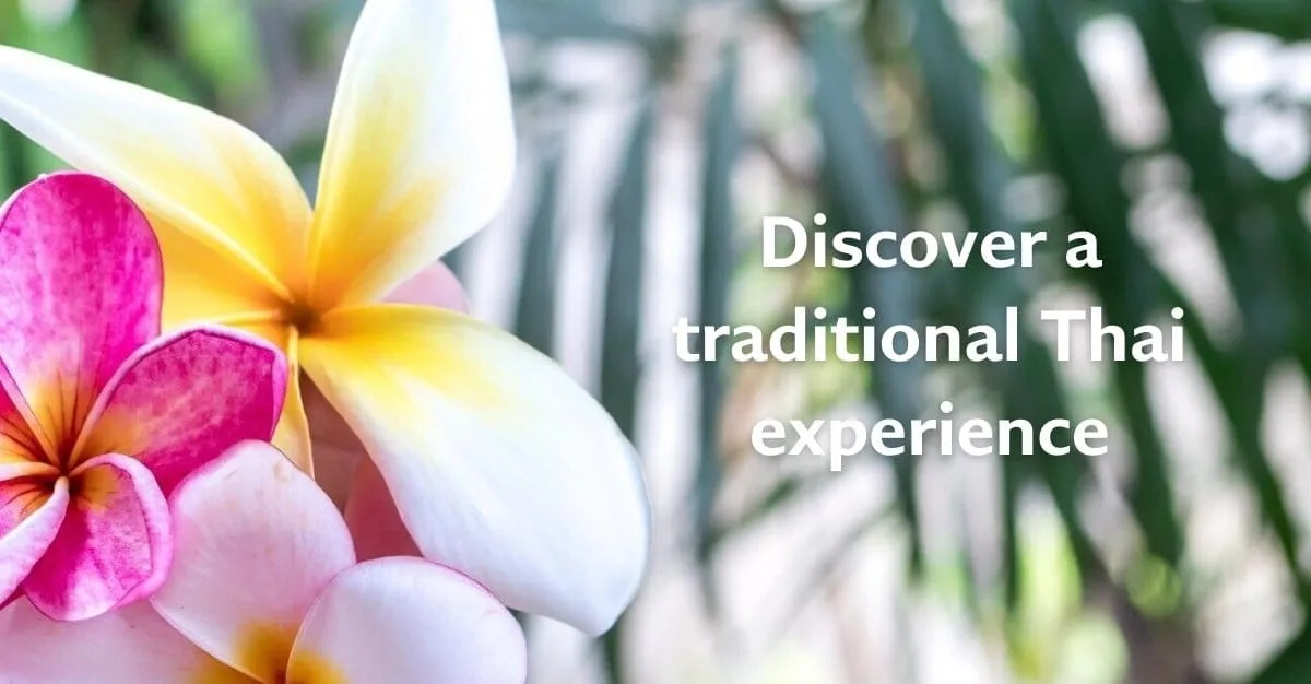 Thai Healing Concepts — Massage Therapists in Taupō