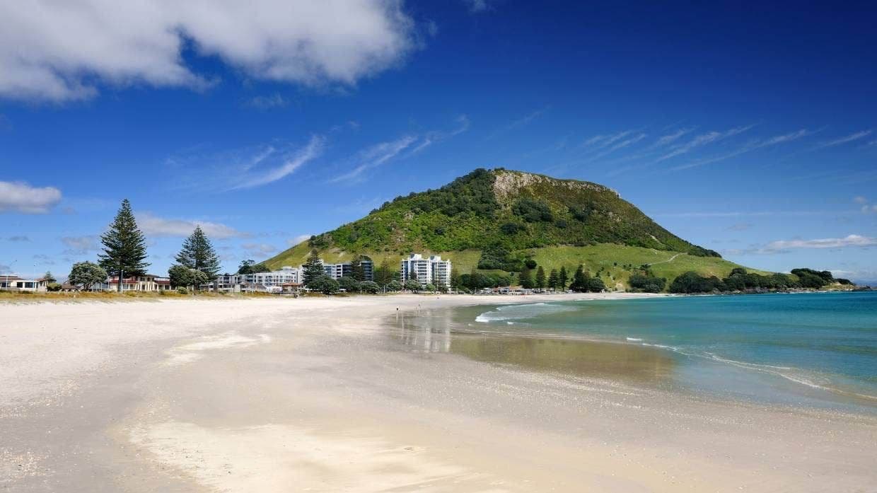 Mount Maunganui Lawn Mowing Services — Gardening Services in Mount Maunganui