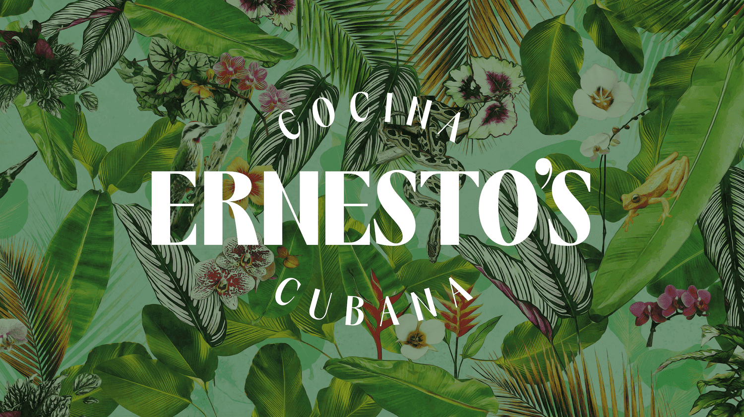 Ernesto's — Restaurants in Wellington