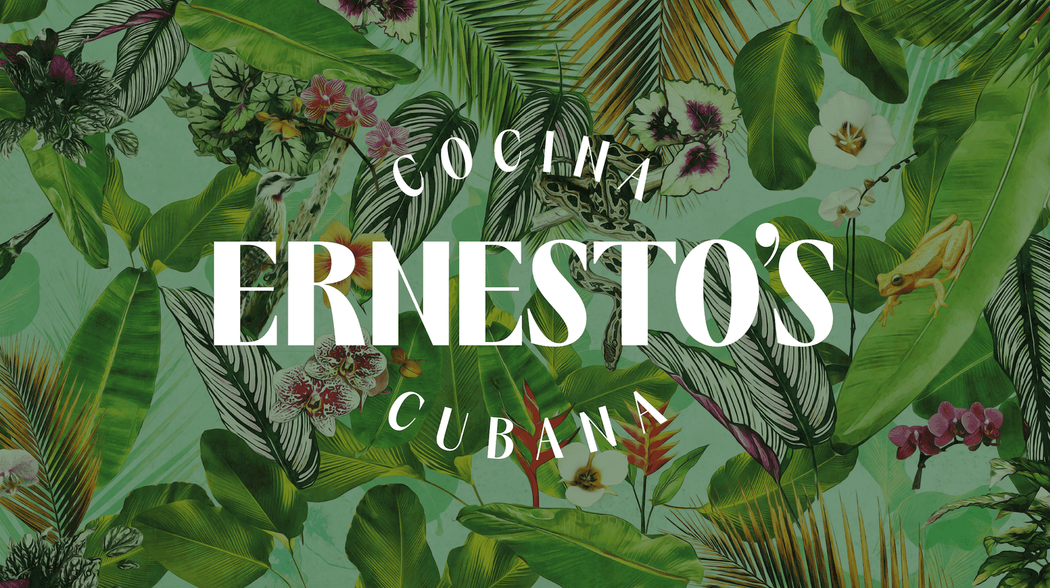 Ernesto's — Restaurants in Wellington