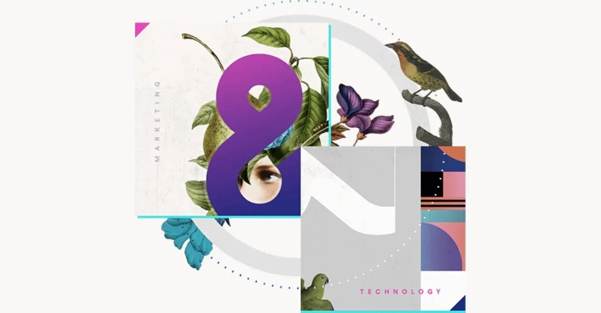 Calibrate — Digital Marketing Agencies in Auckland