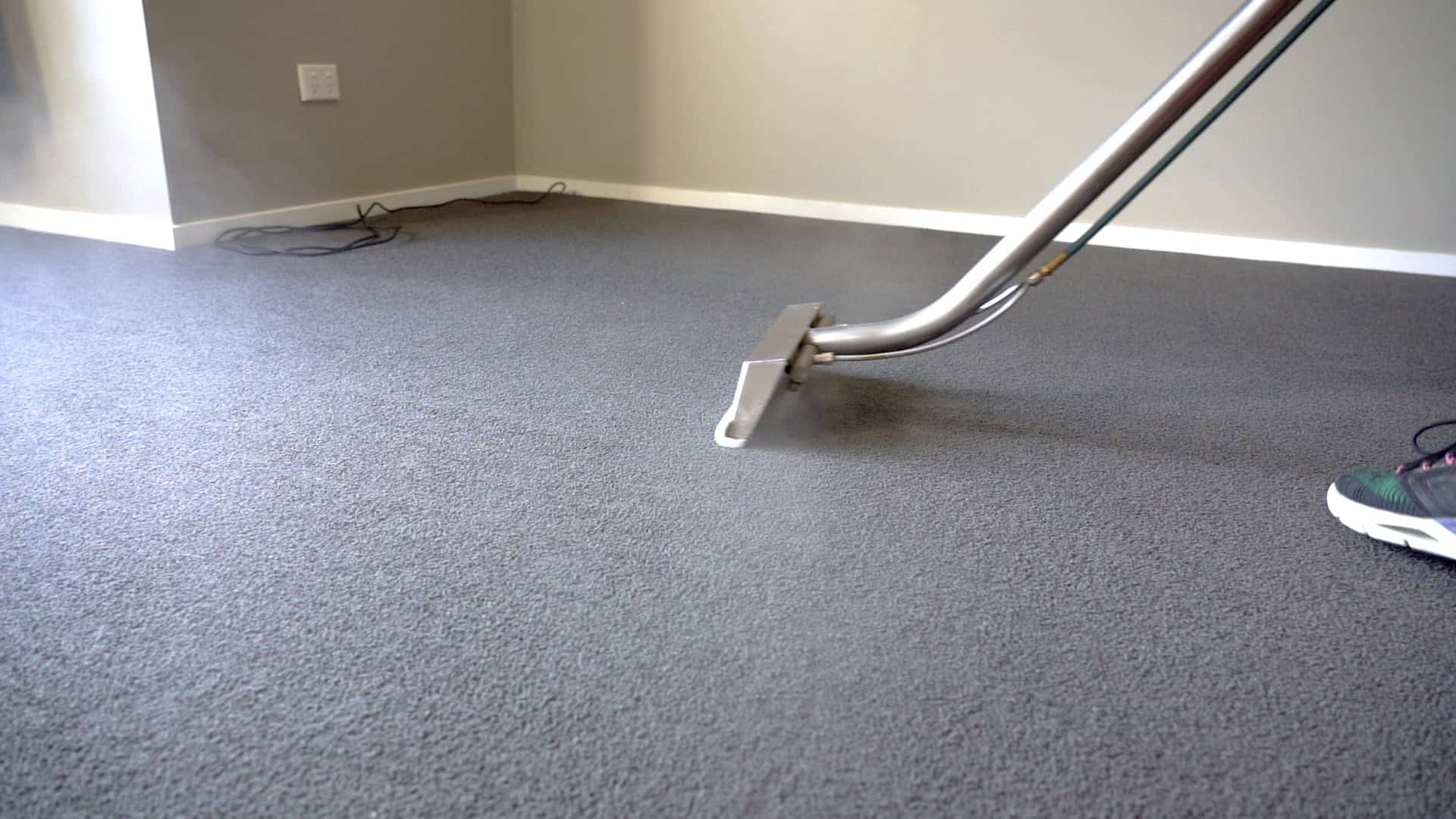 Total Carpet Services Southland — Cleaning Services in Invercargill