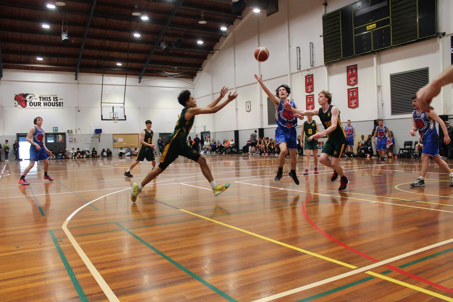 Selwyn Basketball — Sport & Recreation in Lincoln