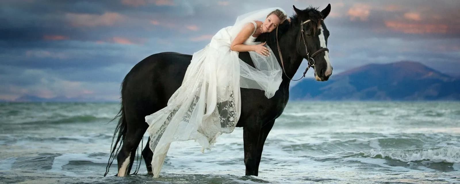 Nelson Photography — Photographers in Nelson