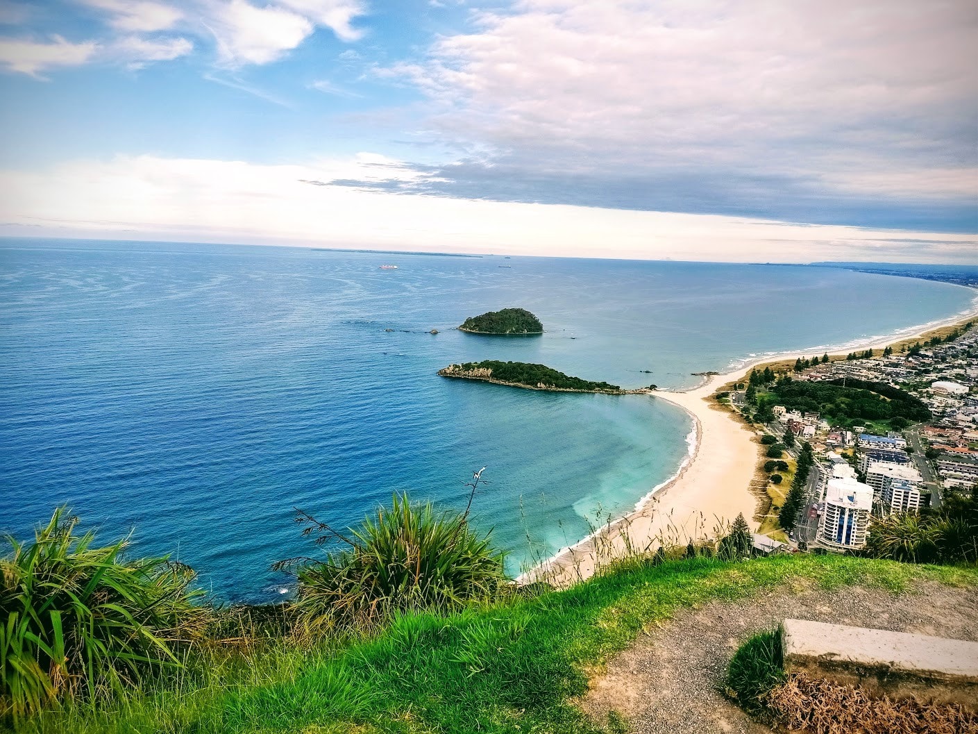 TW Plastering and Paint — Builders in Tauranga
