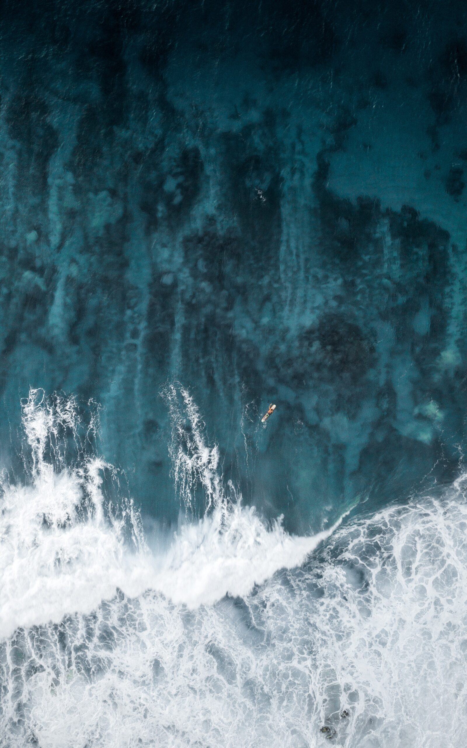 Tuna Ecommerce Partners — Online Stores in Tauranga