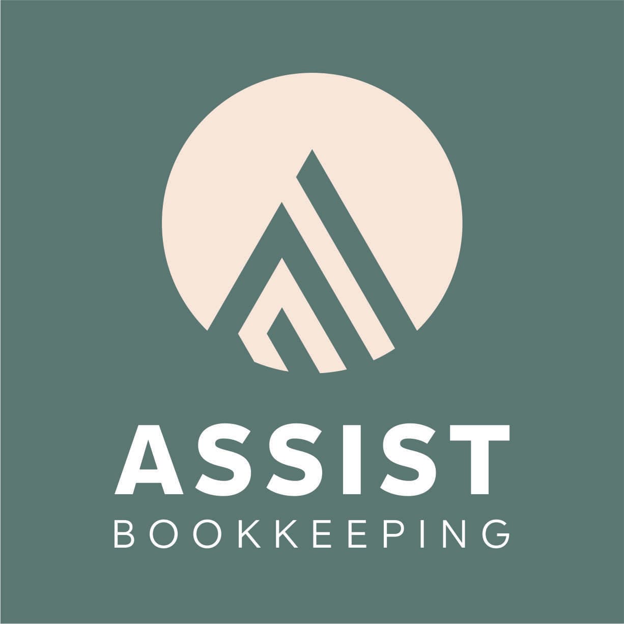 Professional Bookkeeping Services for Small Businesses - Assist Bookkeeping