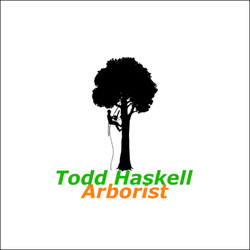 Todd Haskell Arborist