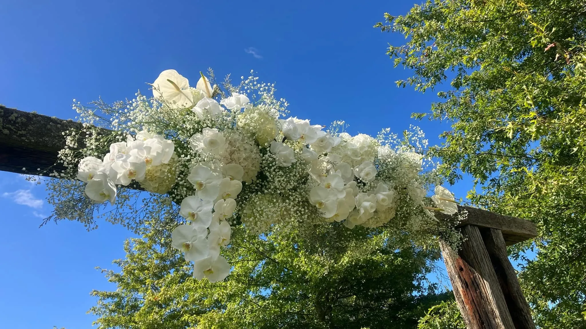Simply Flowers — Florists in Dunedin