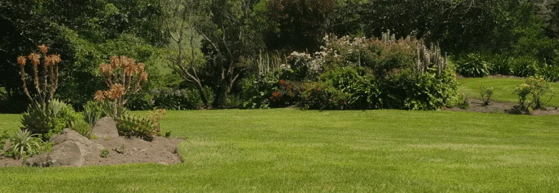 Entire Property Solutions — Gardening Services in Christchurch