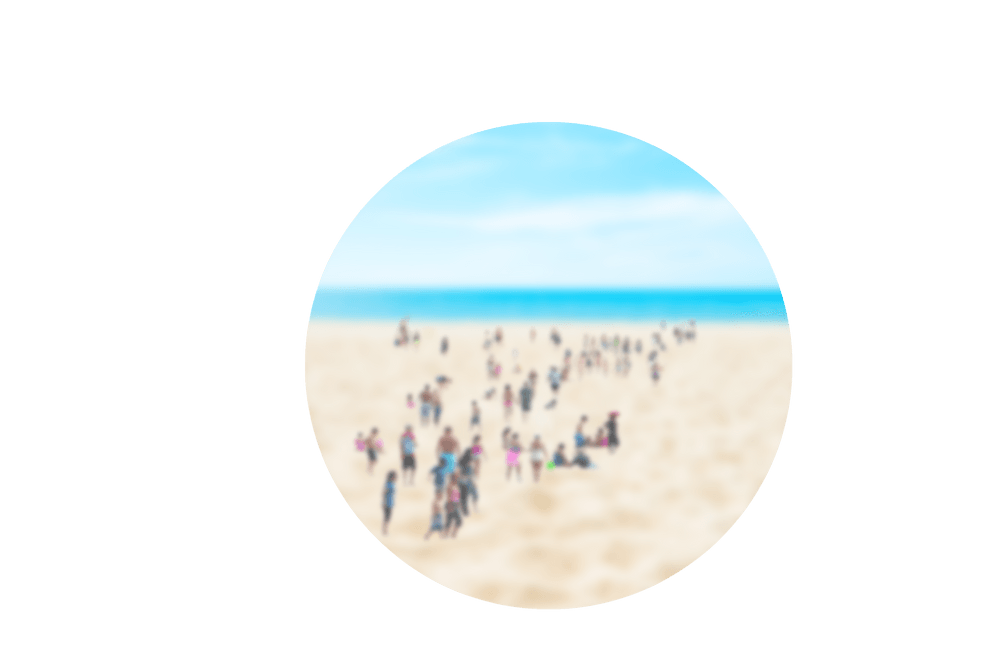 Papamoa Beach Car Rentals — Car Rental Services in Pāpāmoa