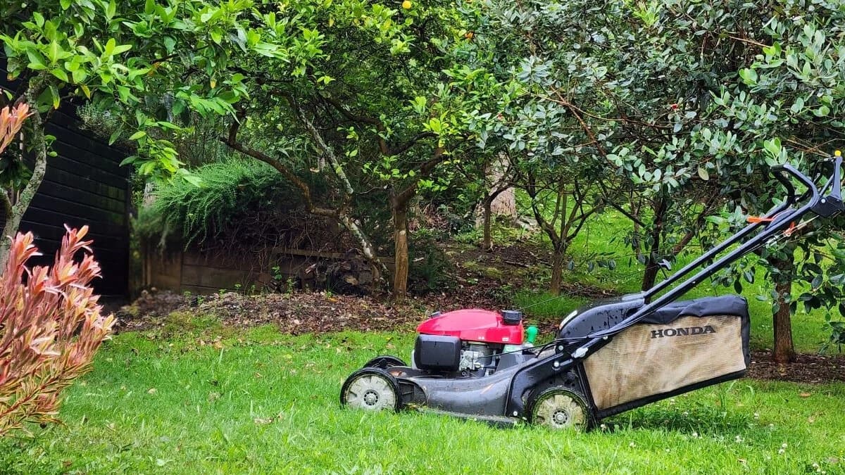 Lawns and More Christchurch — Gardening Services in Christchurch