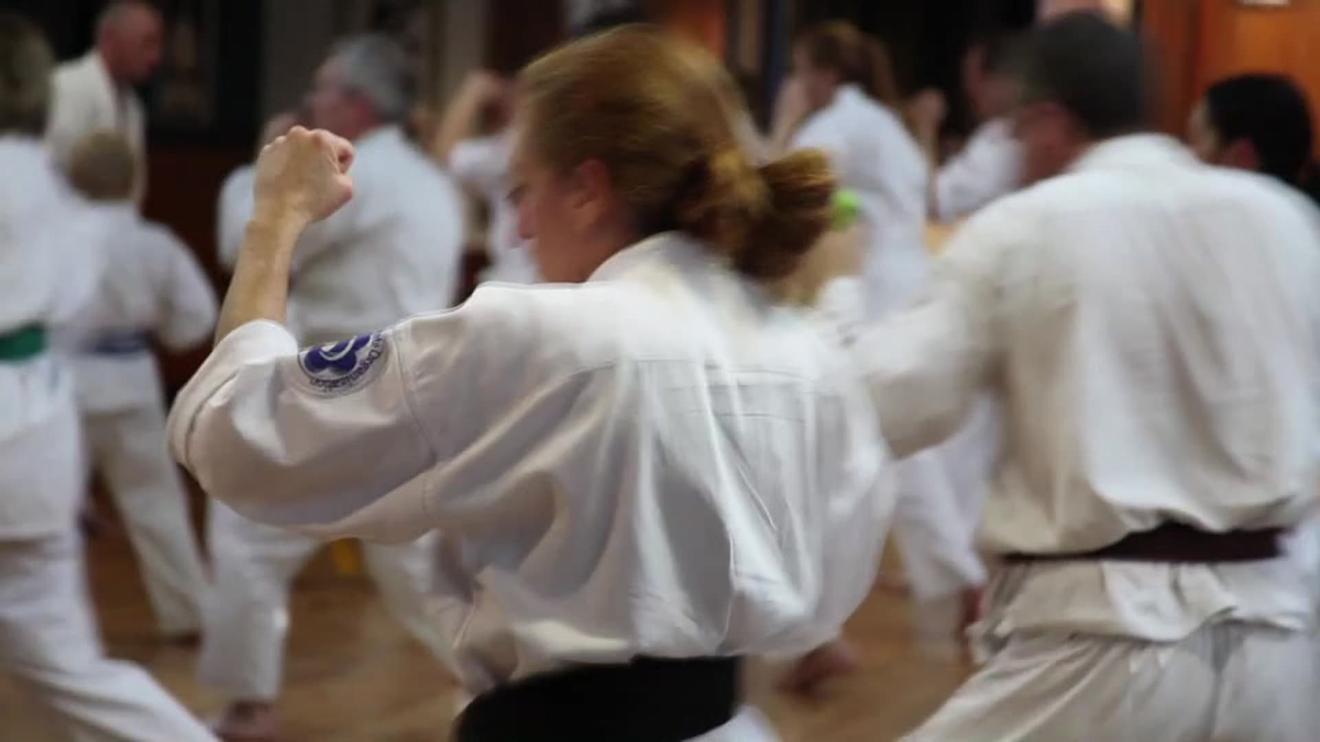 Seido Karate — Gyms in Christchurch
