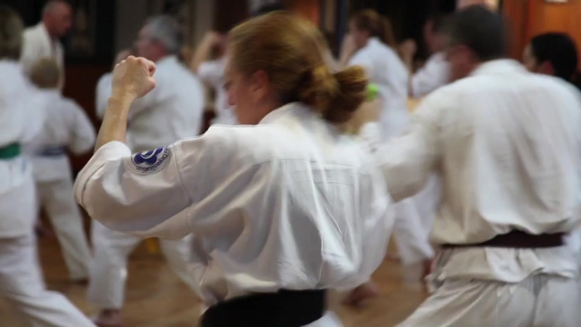 Seido Karate — Gyms in Christchurch