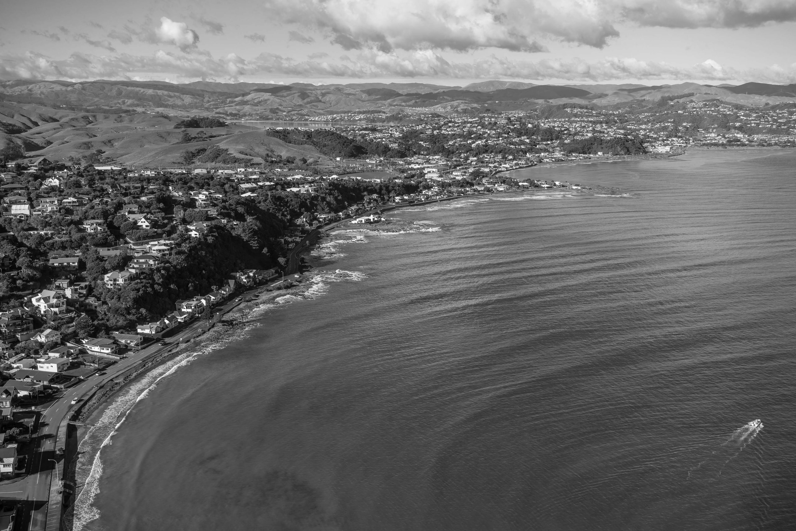 Lowe & Co Realty — Real Estate Agents in Wellington
