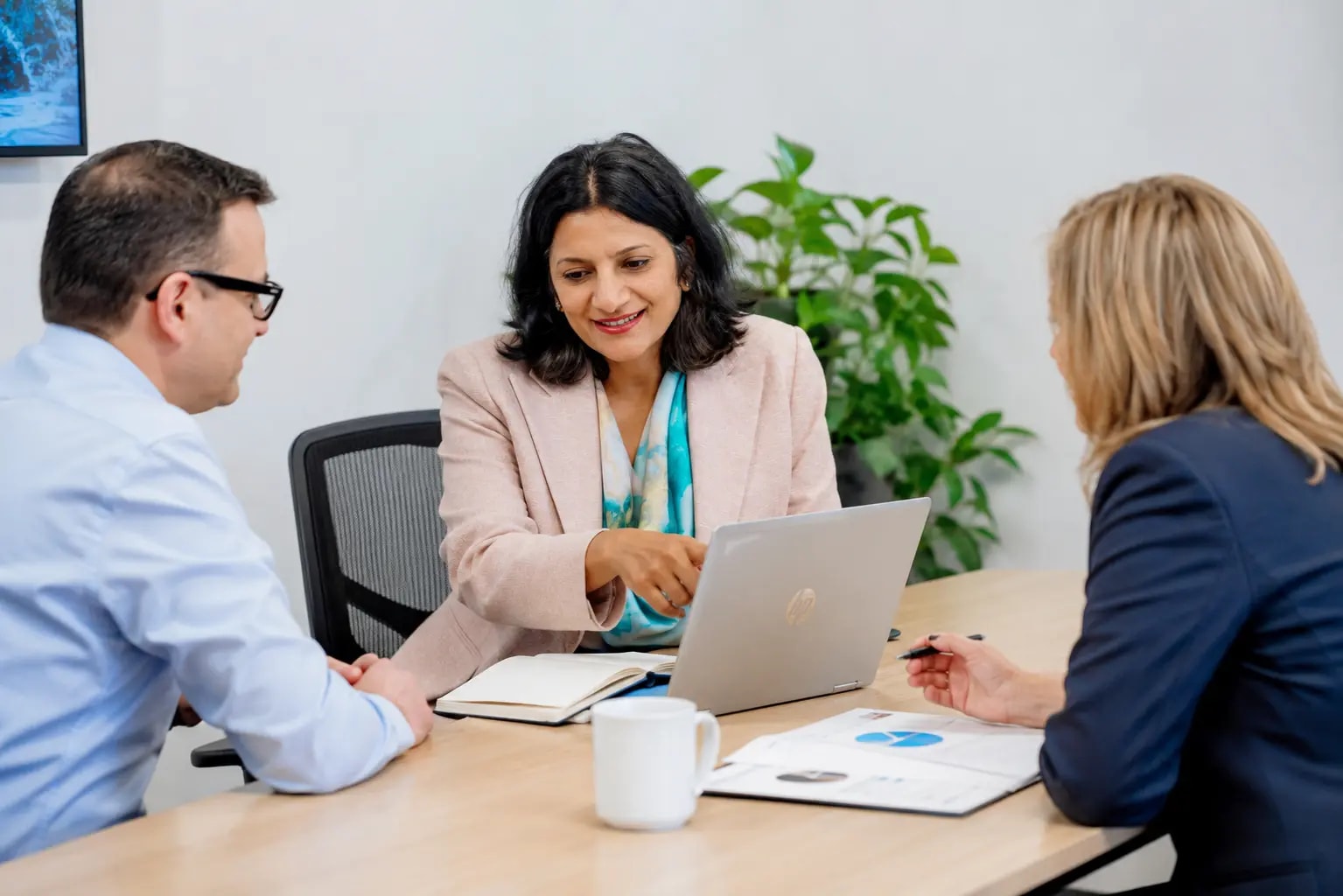My Tax CA — Accountants in Mount Eden