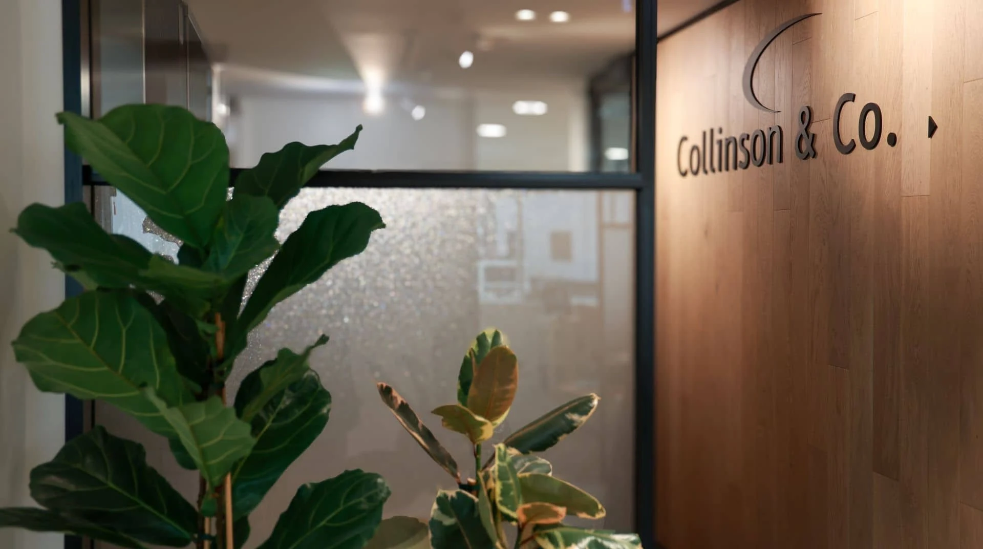 Collinson Forex — Financial Services in Auckland