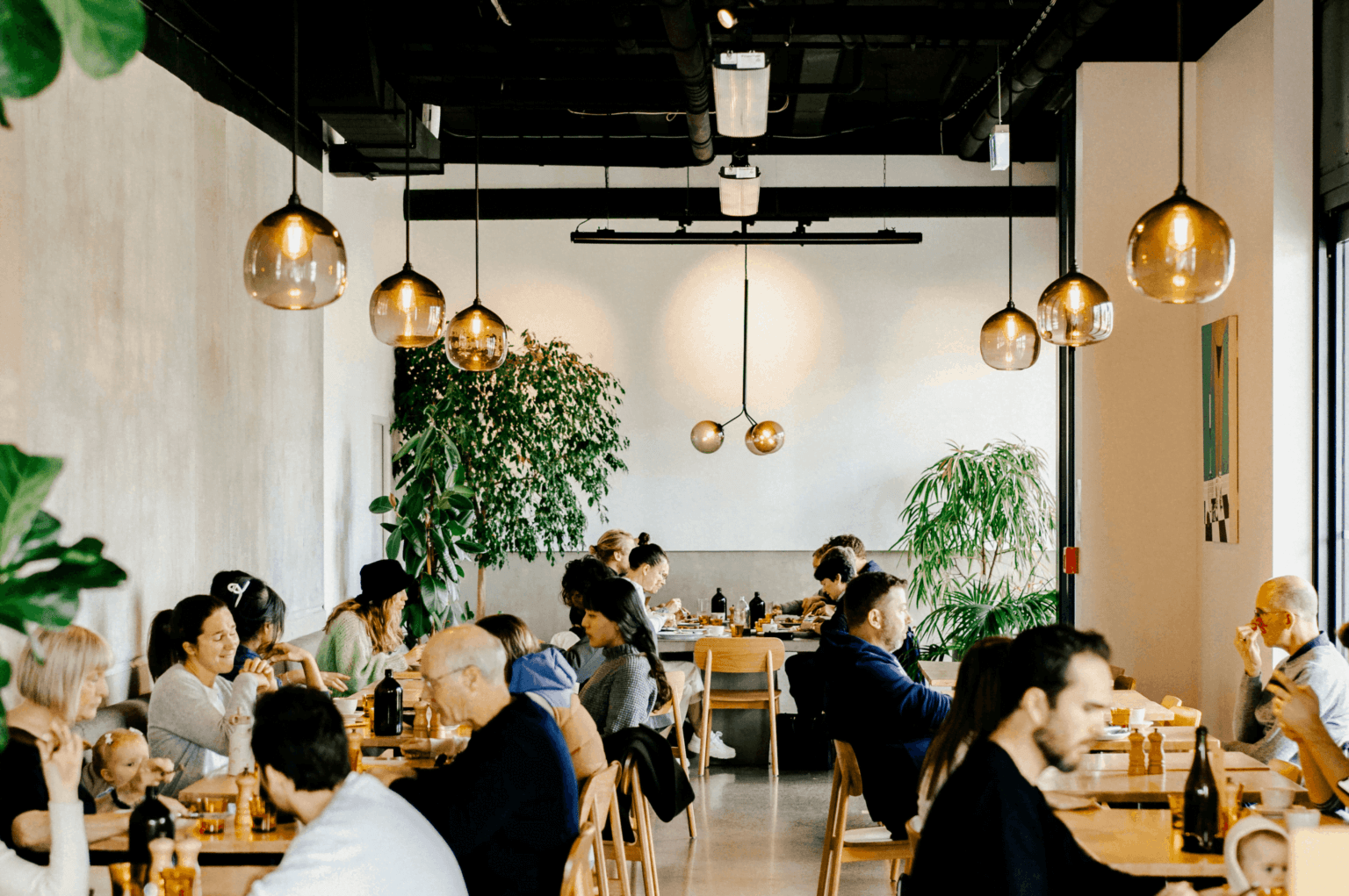 Millé — Creative Agencies in Auckland