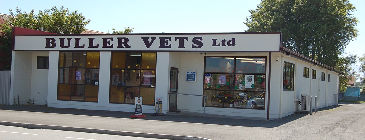 Murchison Veterinary Clinic — Vets in Murchison