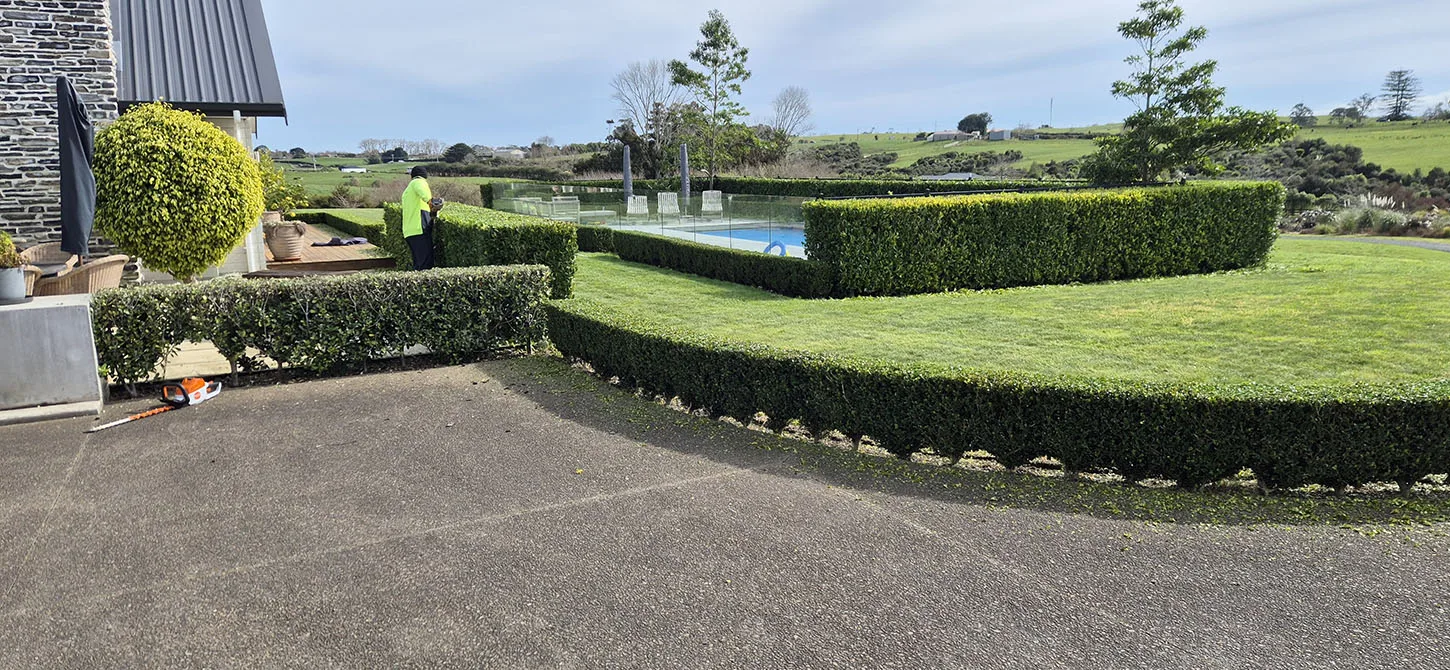 Complete Garden Solutions — Gardening Services in Auckland