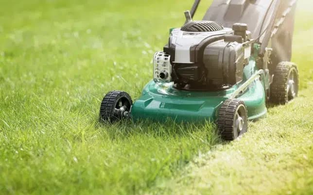 Green Horizon — Gardening Services in Tauranga