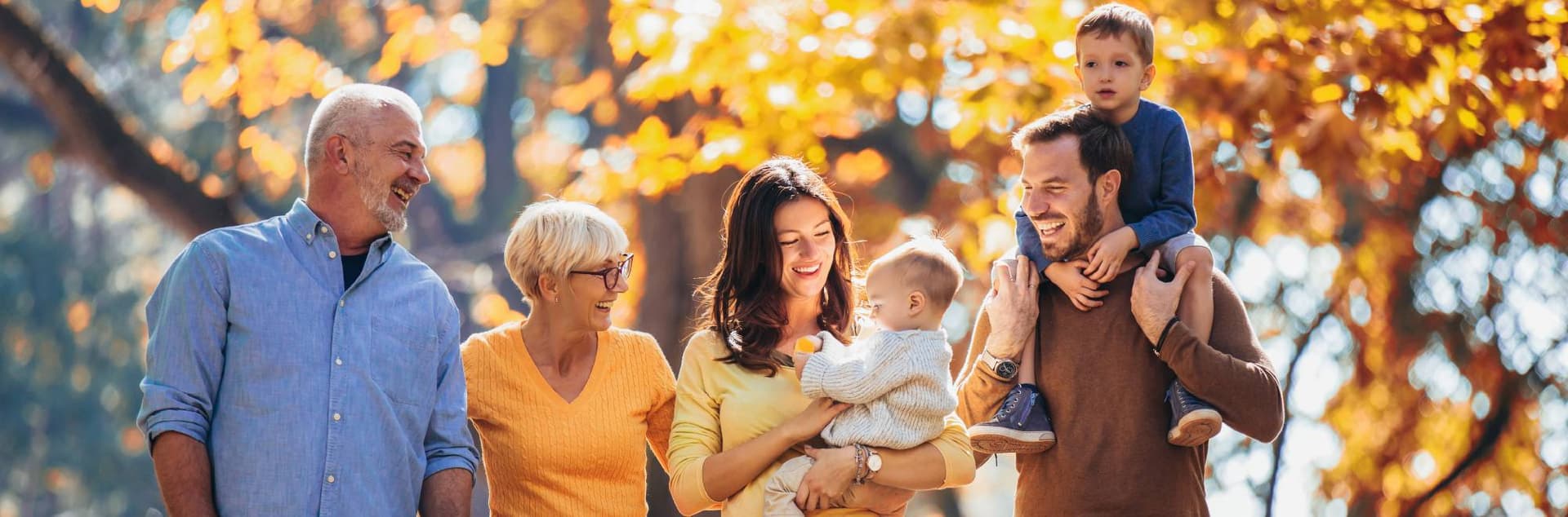 Seddon Park Funeral Home — Funeral Services in Hamilton