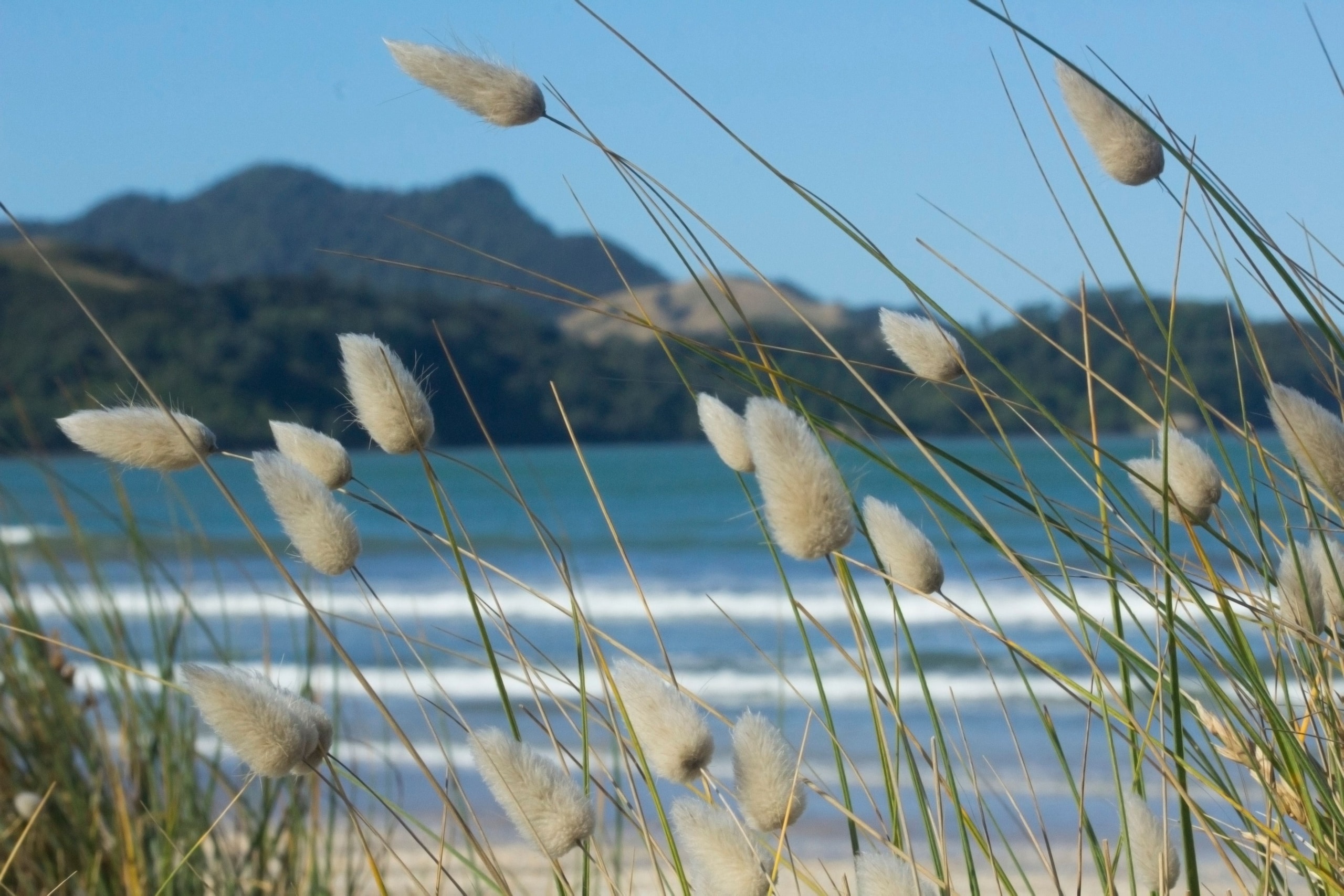 Centennial Electronics — Appliance Repair in Whitianga
