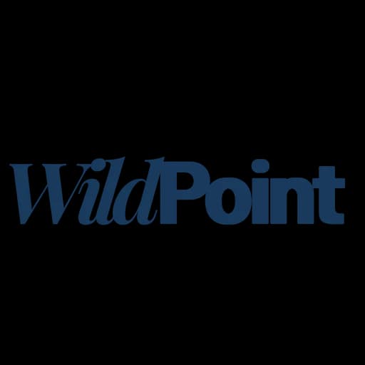 WildPoint Consulting