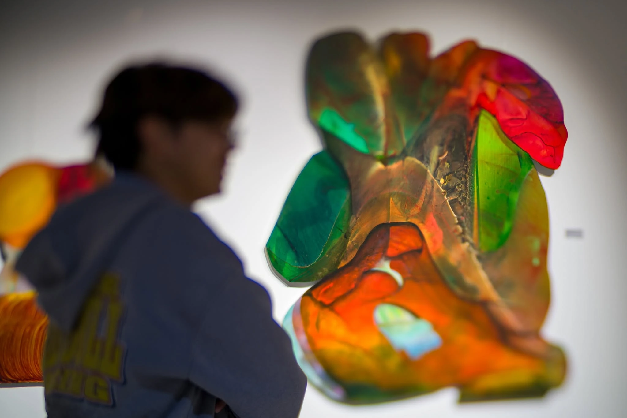 Exhibitions Gallery — Art Galleries in Wellington