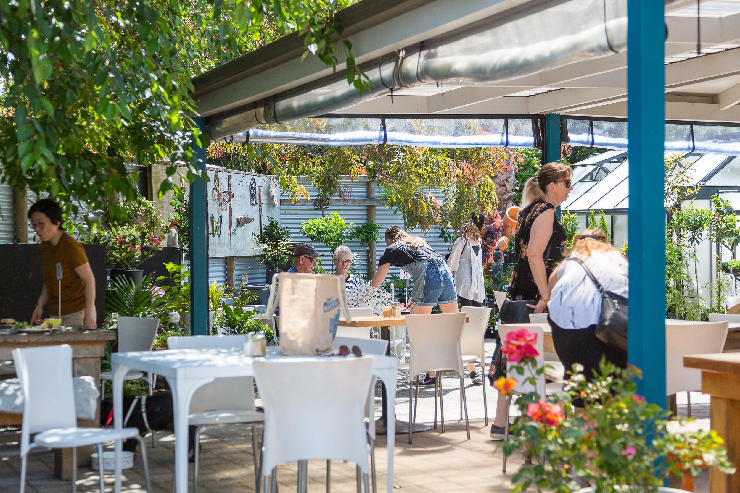 Patio Rose Cafe — Takeaway Food in Tauranga