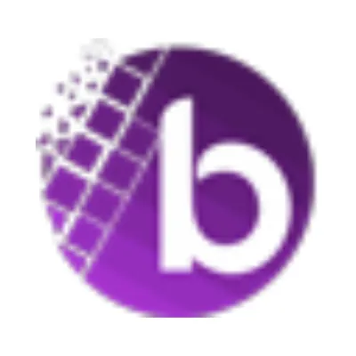 Business IT South logo