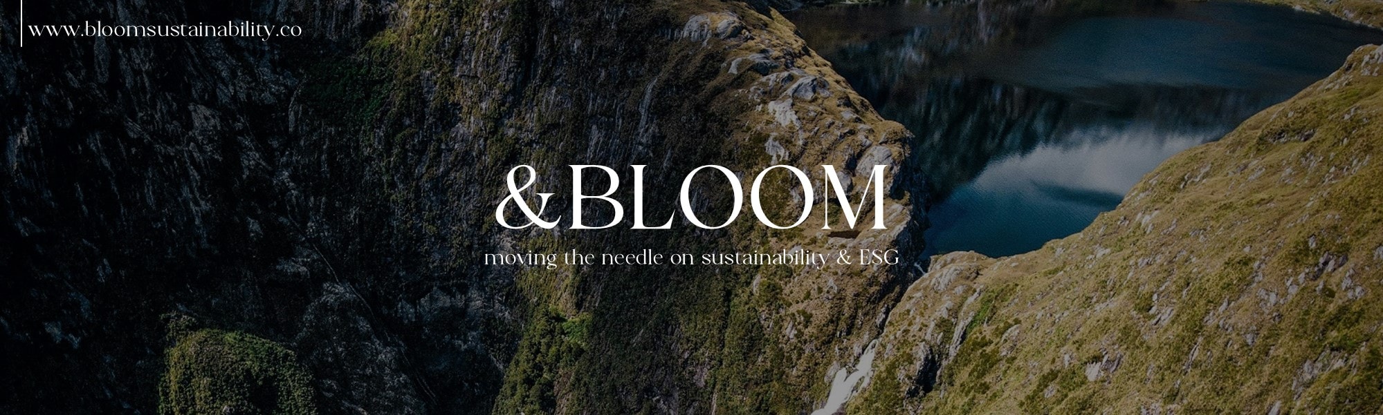 &BLOOM Sustainability & ESG — Financial Services in Auckland