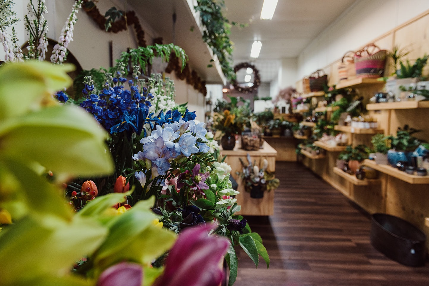 The Flower Barrow — Florists in Napier