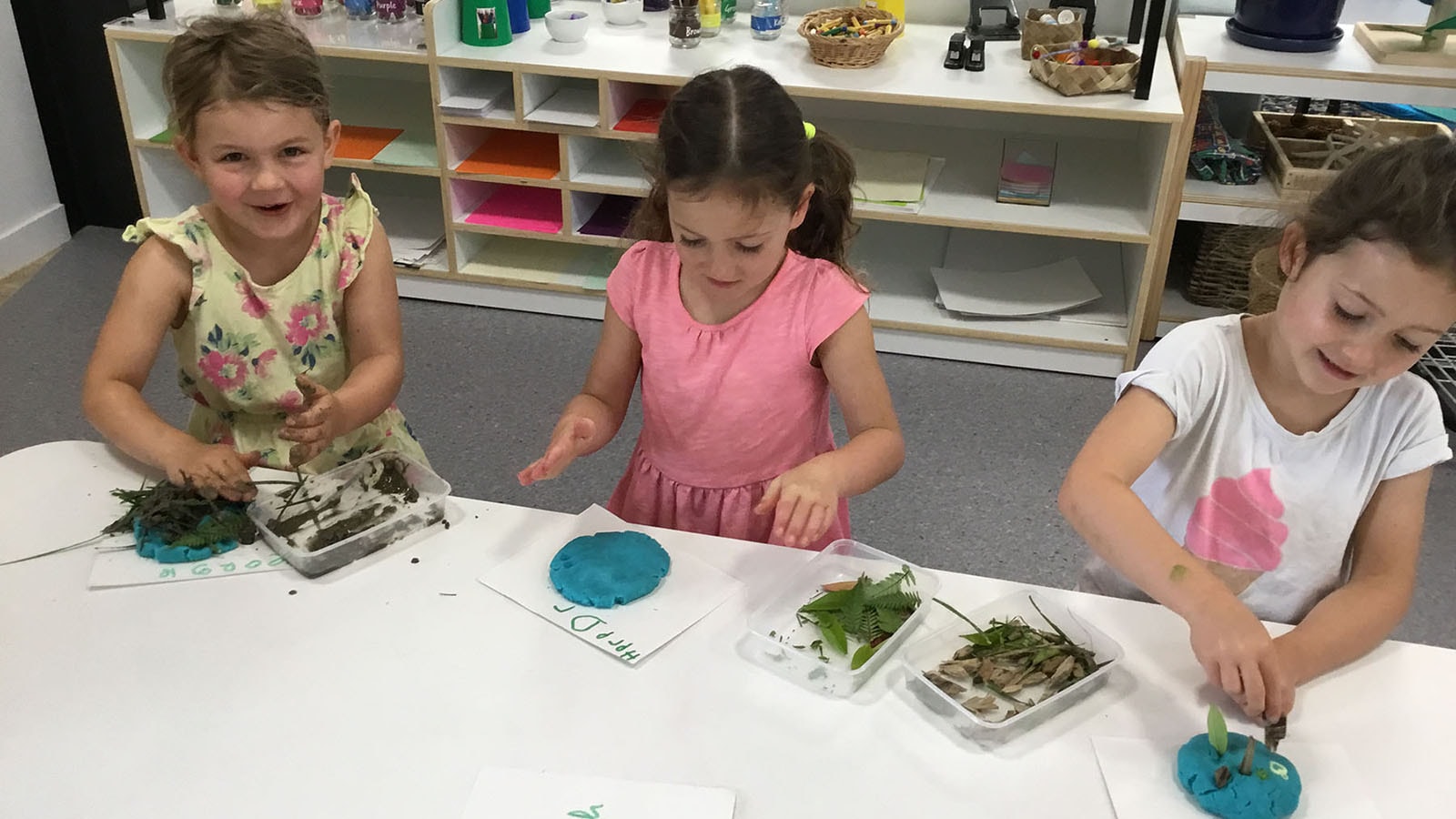Point Chevalier Kindergarten — Childcare Centres in Albert-Eden
