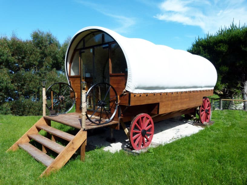 Wacky Stays — Accommodation in Kaikōura